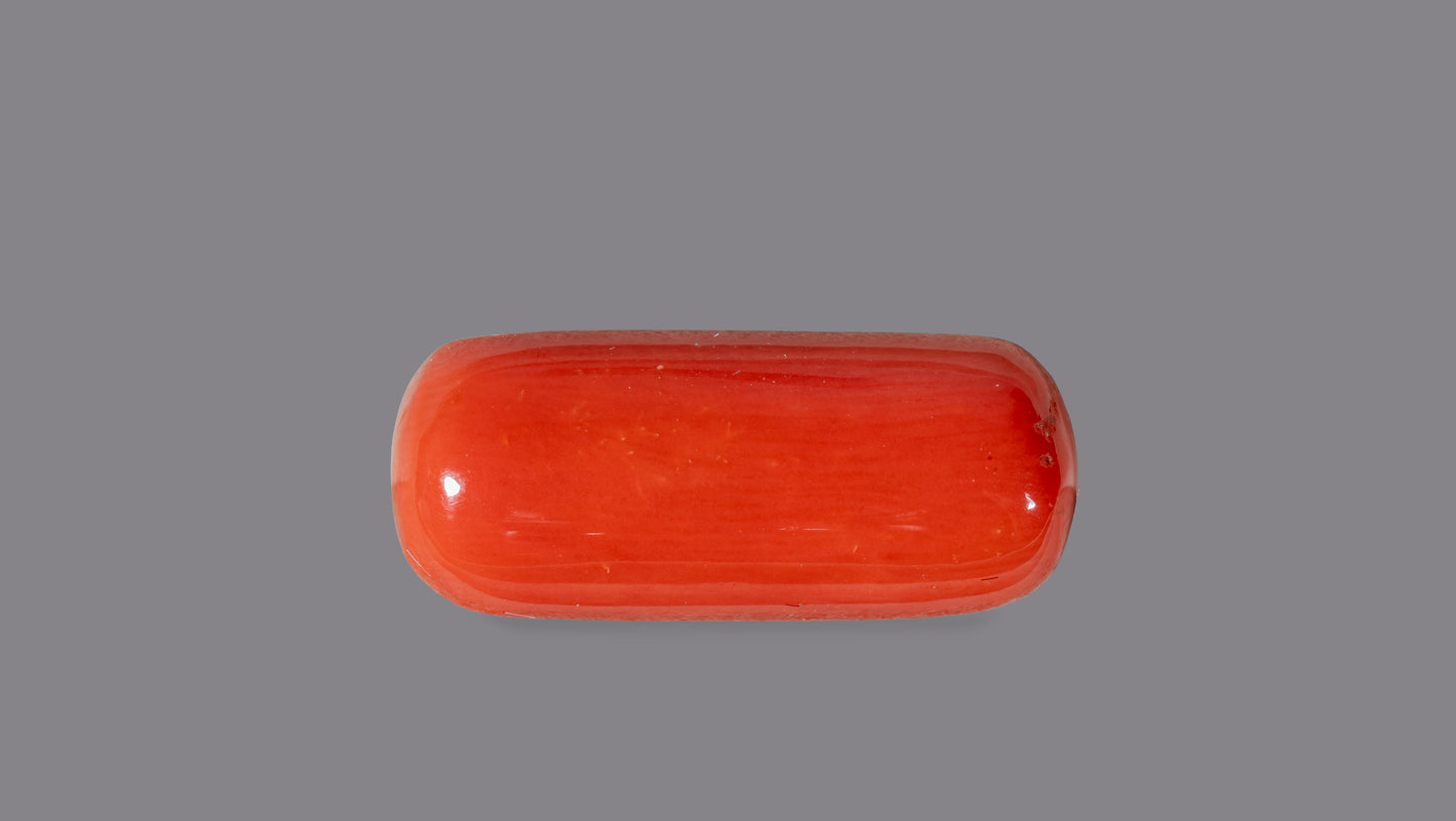 NATURAL RED CORAL (Moonga) 8.37 CARATS