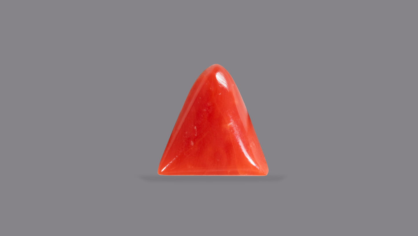 Natural Italian Red Coral (Moonga) 5.98 Carats