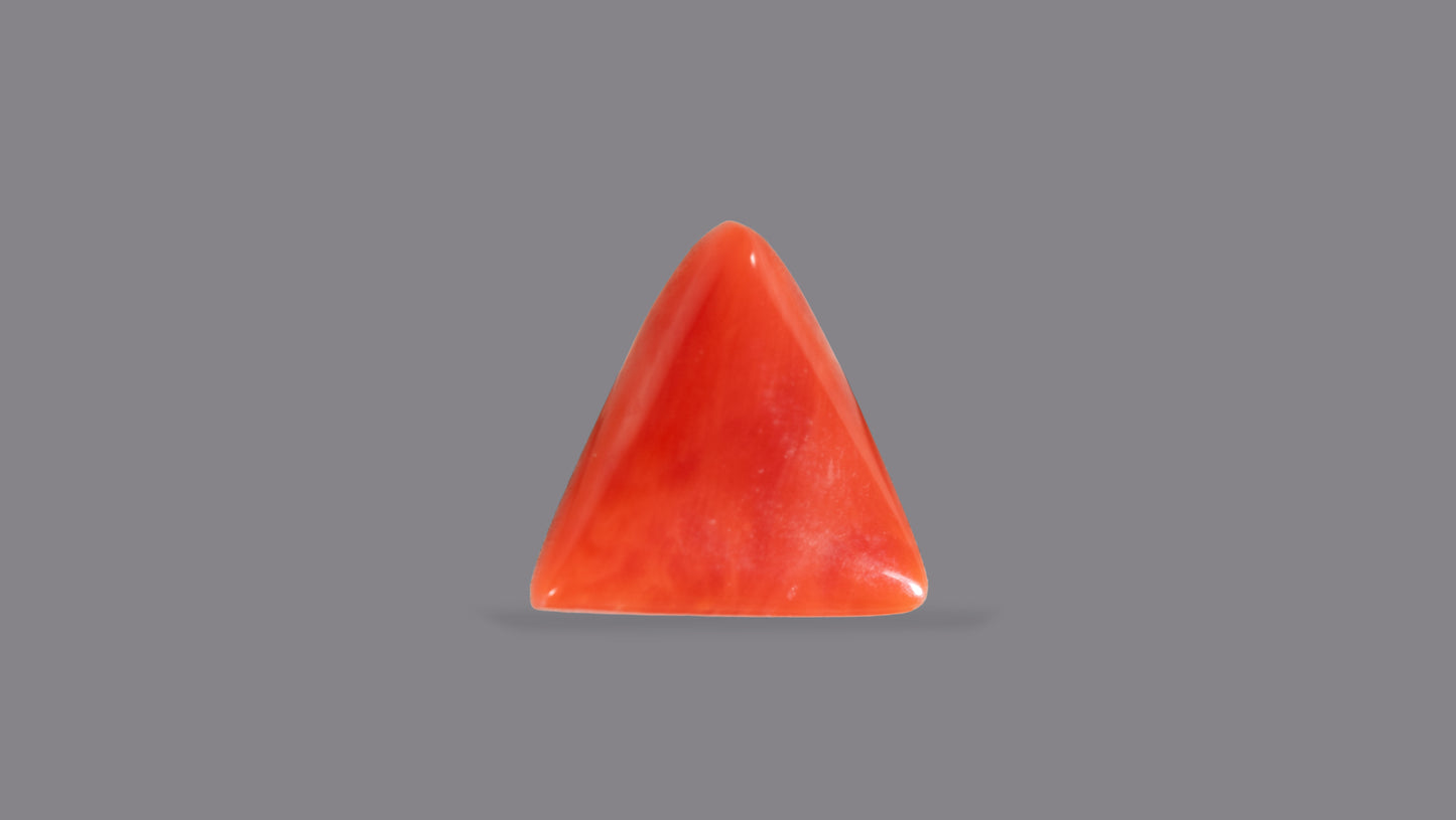 Natural Italian Red Coral (Moonga) 4.95 Carats