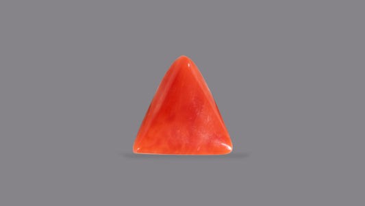 Natural Italian Red Coral (Moonga) 4.95 Carats