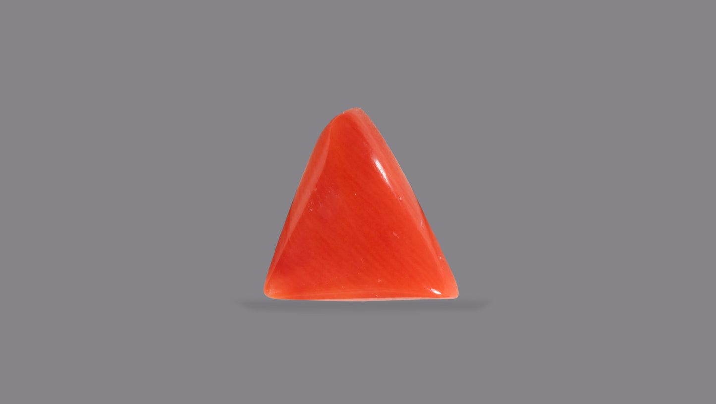 Natural Italian Red Coral (Moonga) 5.34 Carats