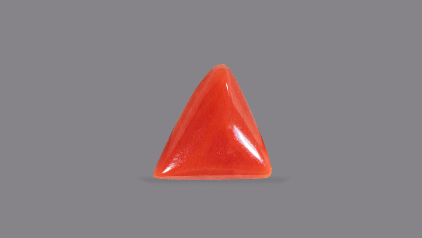 Natural Italian Red Coral (Moonga) 5.15 Carats