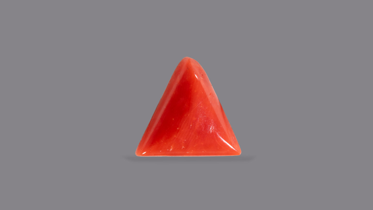 Natural Italian Red Coral (Moonga) 4.95 Carats