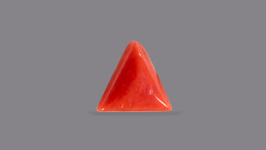 Natural Italian Red Coral (Moonga) 4.95 Carats