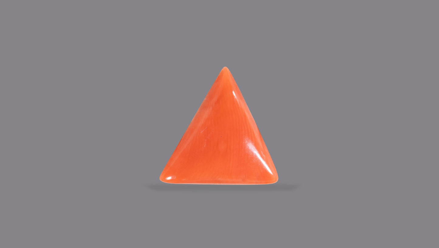Natural Italian Red Coral (Moonga) 6.01 Carats