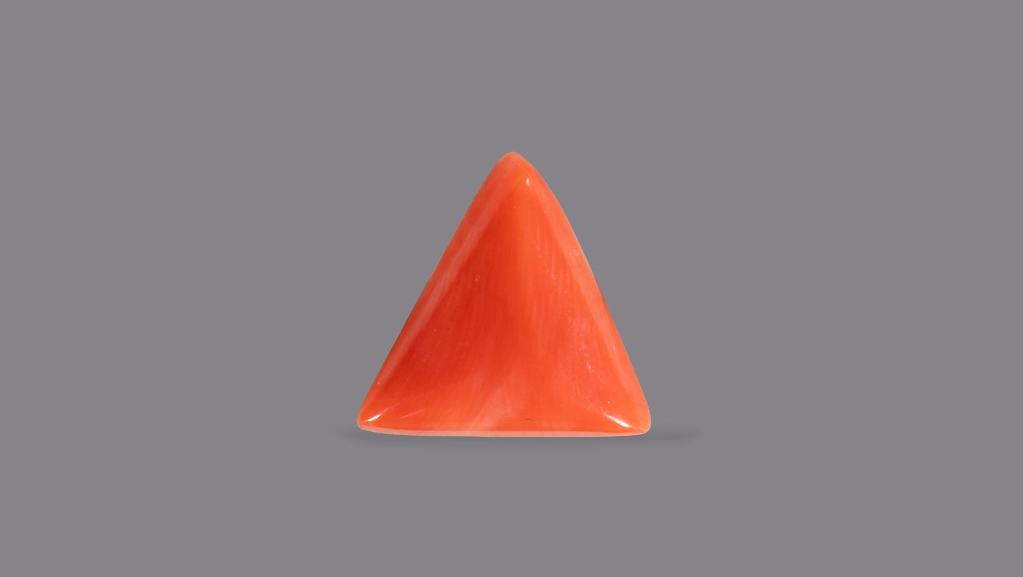Natural Italian Red Coral (Moonga) 5.14 Carats