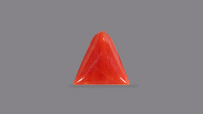 Natural Italian Red Coral (Moonga) 5.18 Carats
