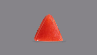 Natural Italian Red Coral (Moonga) 5.04 Carats