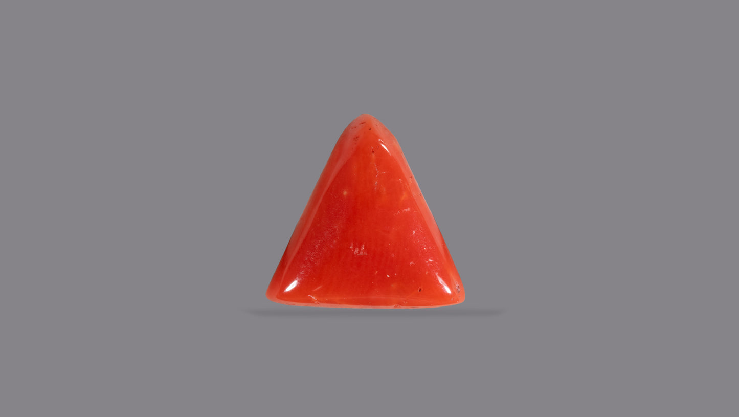 Natural Italian Red Coral (Moonga) 6.06 Carats