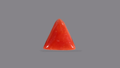 Natural Italian Red Coral (Moonga) 6.06 Carats