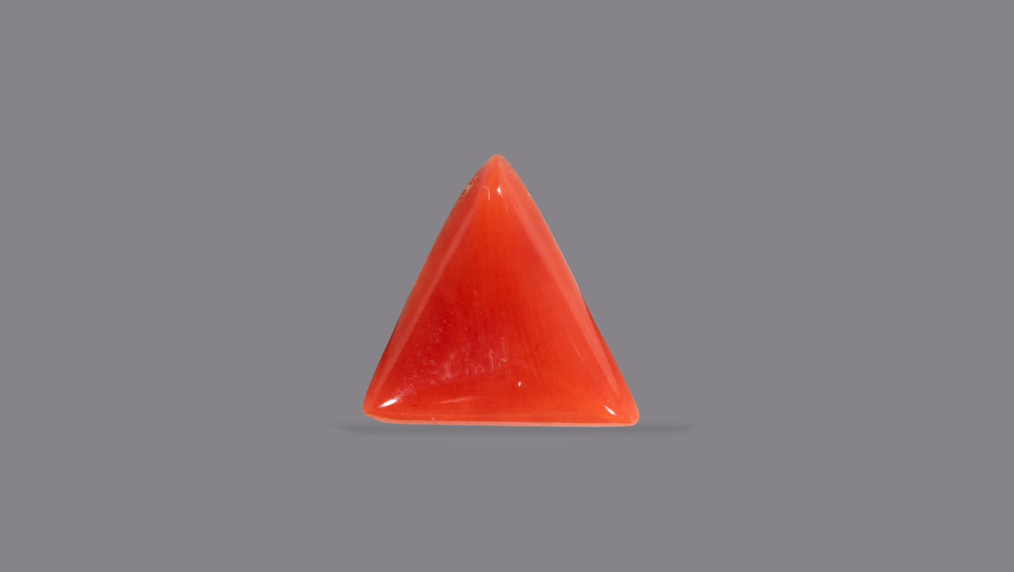 Natural Italian Red Coral (Moonga) 5.02 Carats