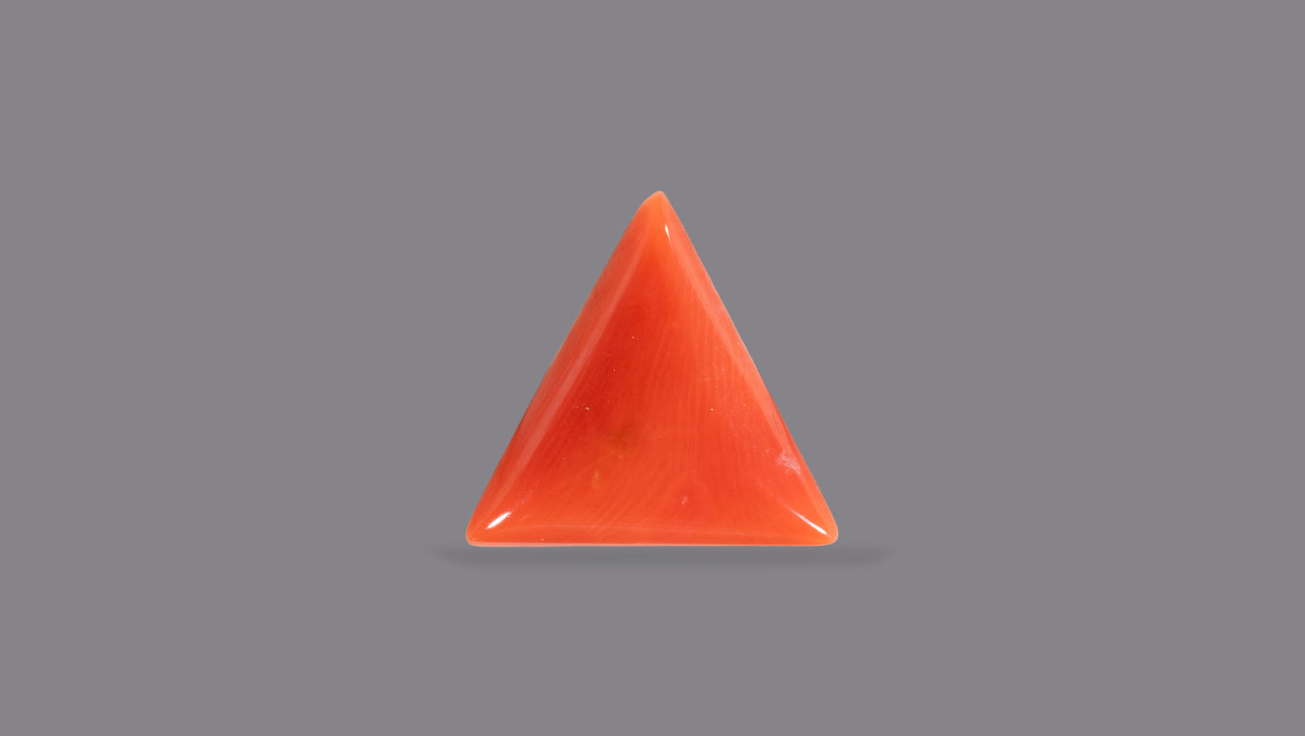 Natural Italian Red Coral (Moonga) 6.16 Carats