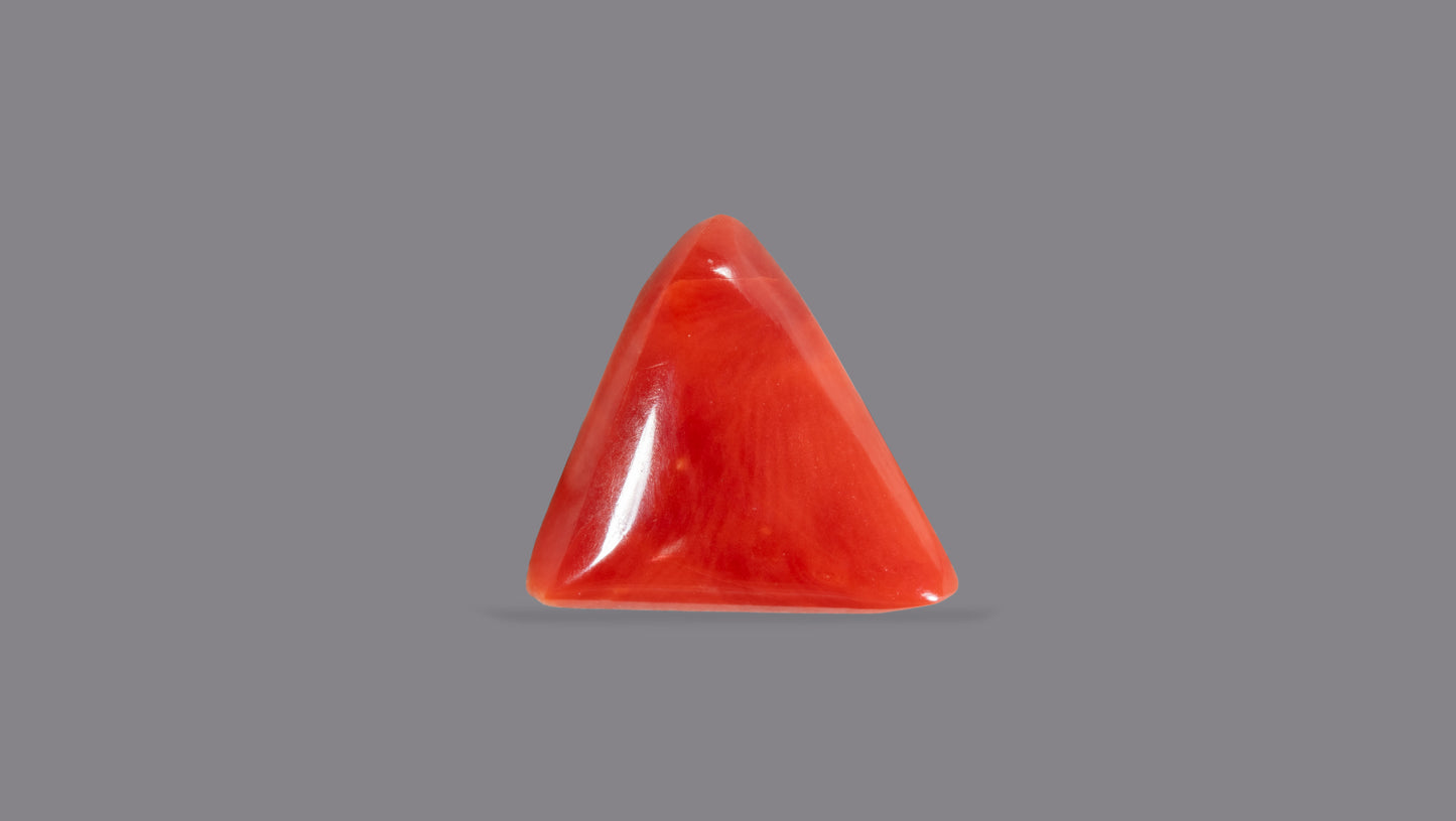 Natural Italian Red Coral (Moonga) 5.29 Carats