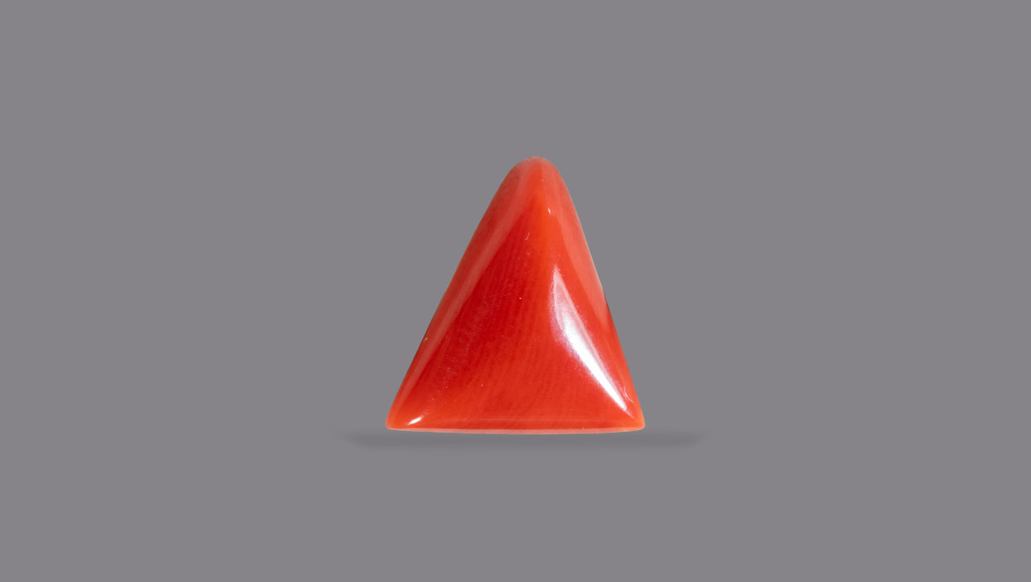 Natural Italian Red Coral (Moonga) 5.31 Carats