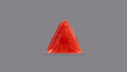 Natural Italian Red Coral (Moonga) 4.98 Carats