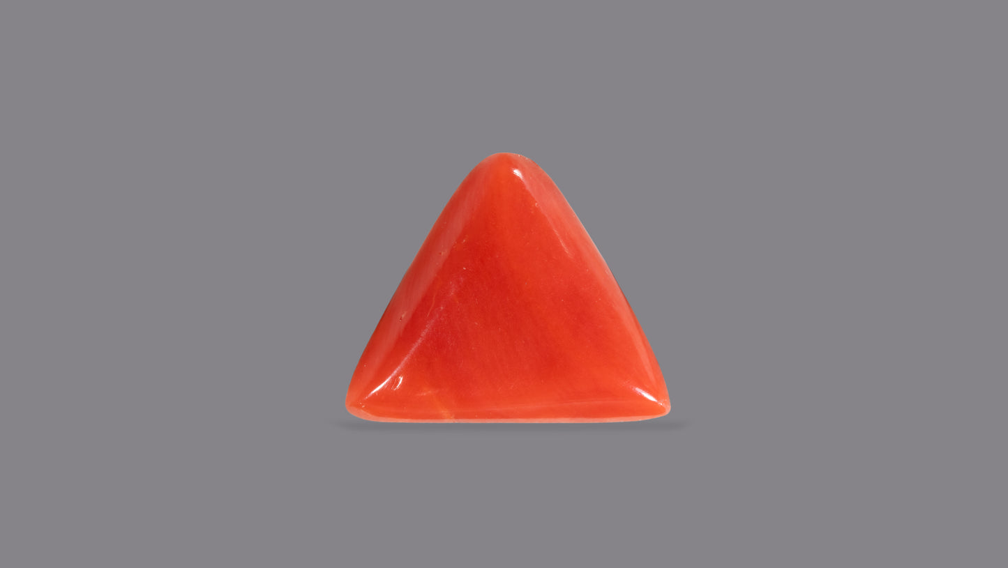 Natural Italian Red Coral (Moonga) 4.98 Carats