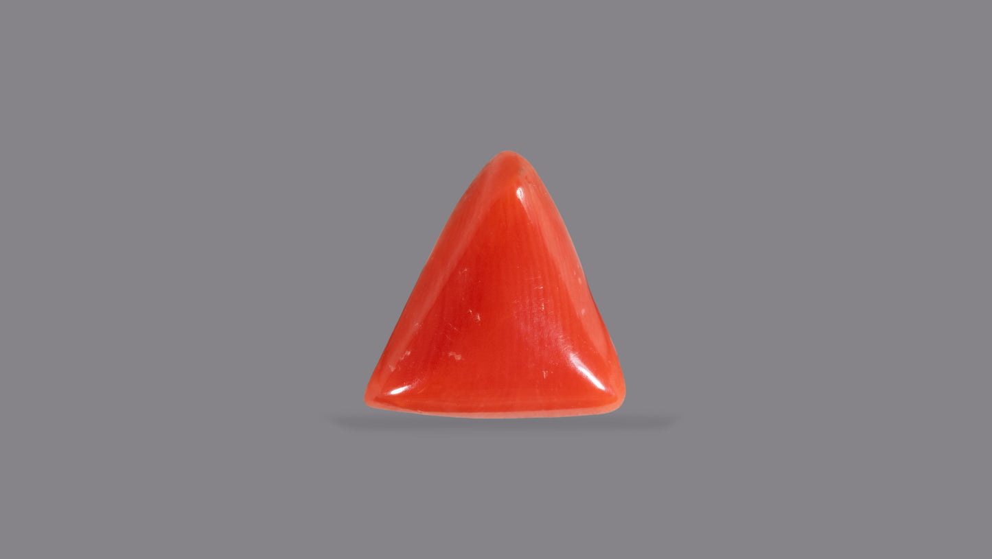 Natural Italian Red Coral (Moonga) 5.10 Carats