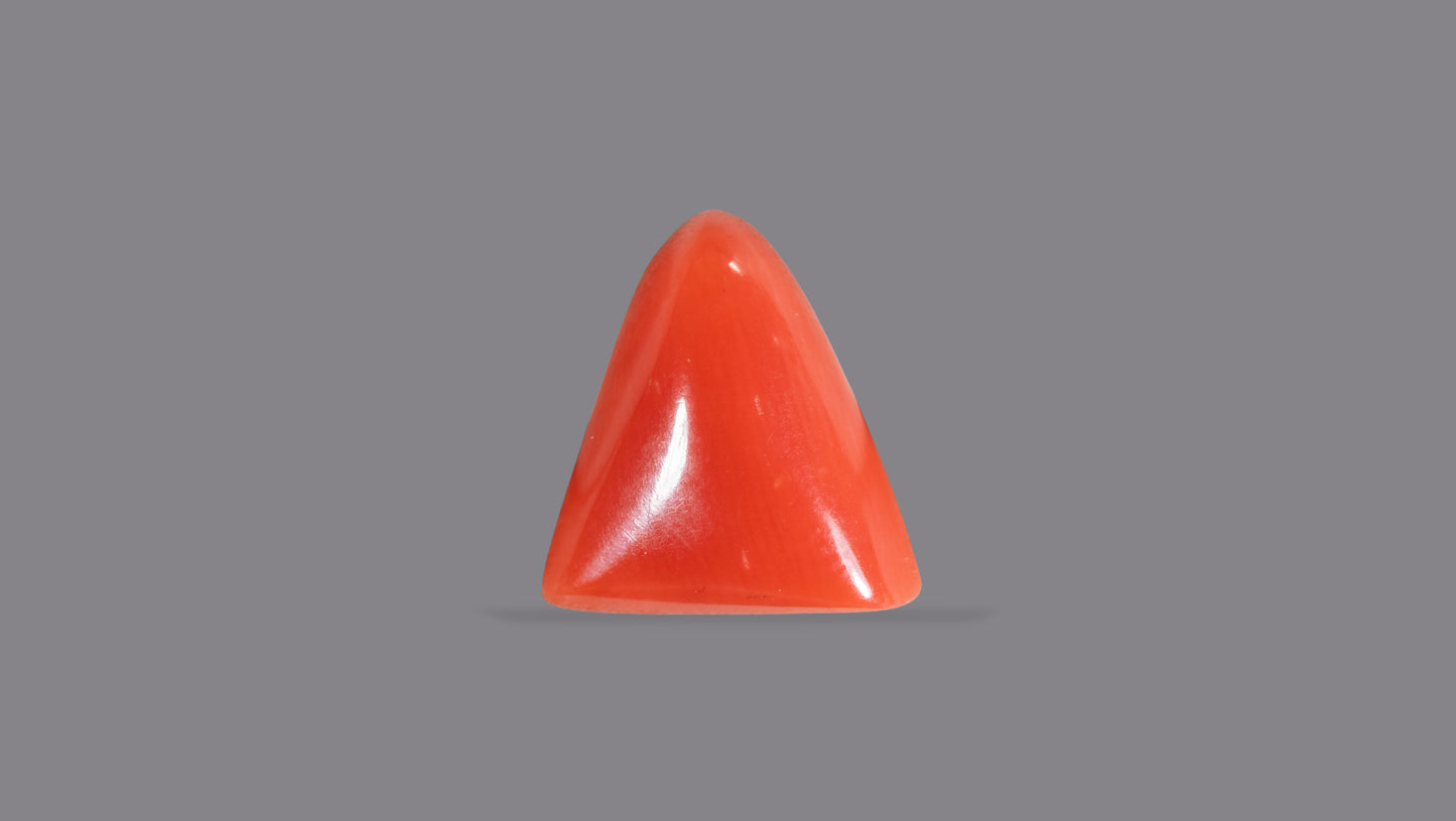 Natural Italian Red Coral (Moonga) 5.06 Carats