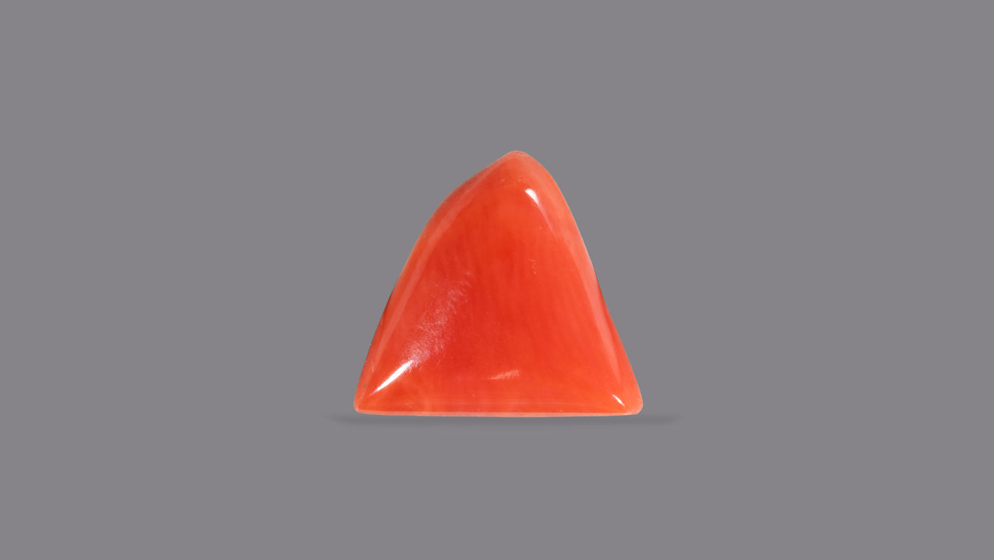 Natural Italian Red Coral (Moonga) 4.93 Carats