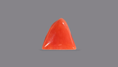 Natural Italian Red Coral (Moonga) 4.93 Carats