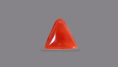 Natural Italian Red Coral (Moonga) 5.21 Carats