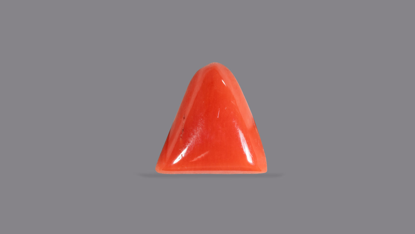 Natural Italian Red Coral (Moonga) 6.08 Carats