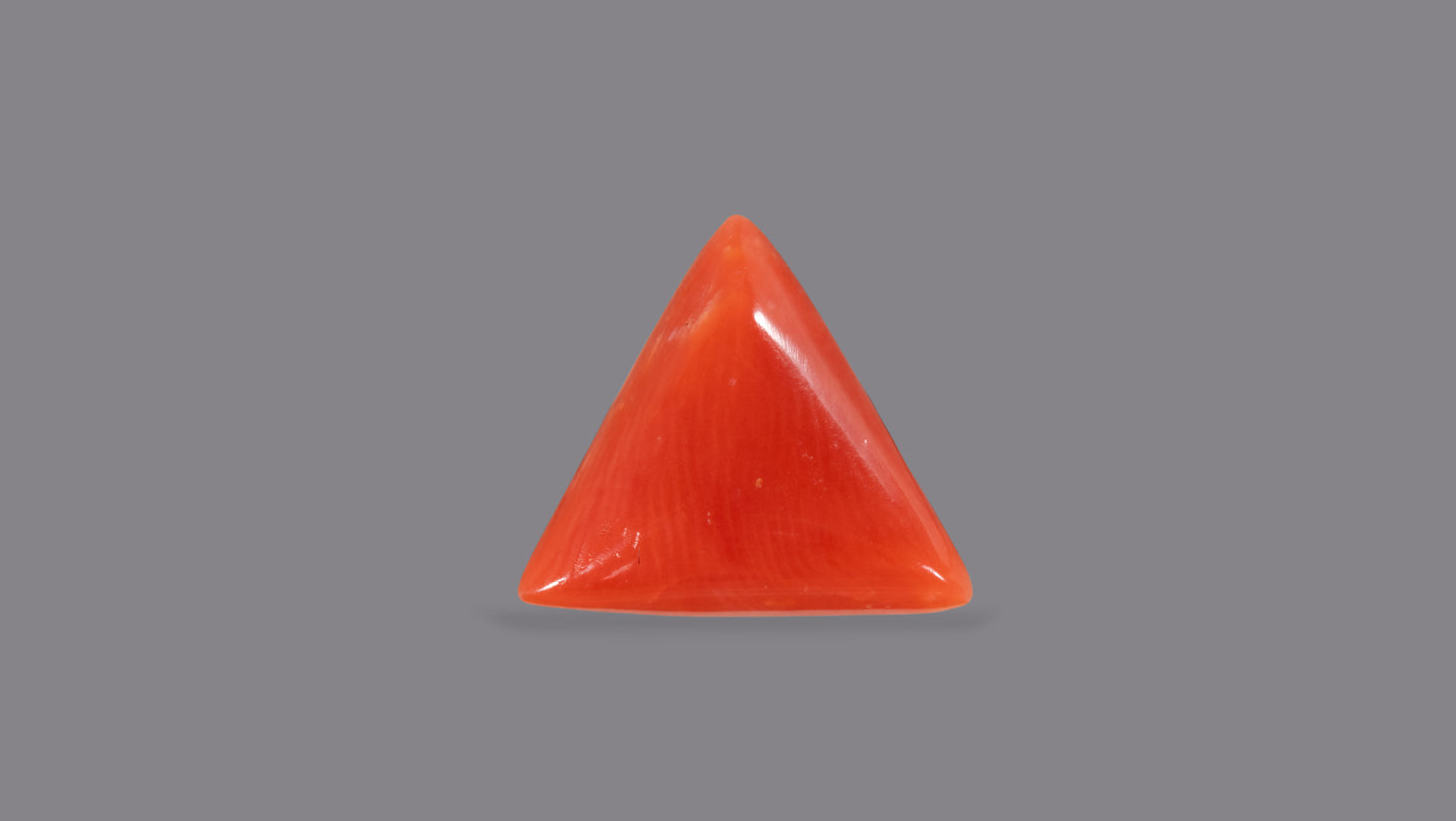 Natural Italian Red Coral (Moonga) 6.21 Carats