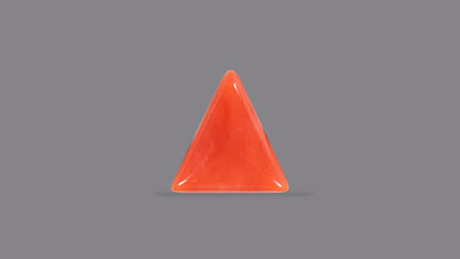 Natural Italian Red Coral (Moonga) 5.99 Carats