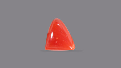 Natural Italian Red Coral (Moonga) 5.32 Carats