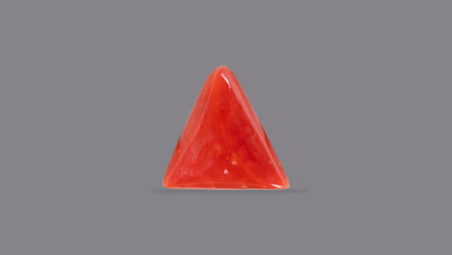 Natural Italian Red Coral (Moonga) 5.54 Carats