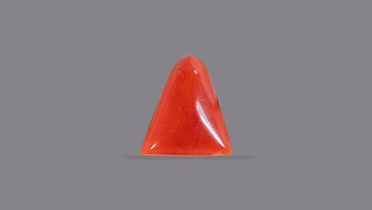 Natural Italian Red Coral (Moonga) 5.98 Carats