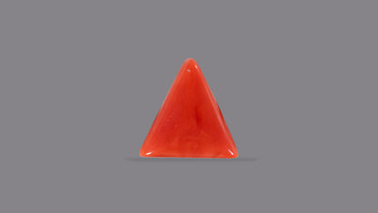 Natural Italian Red Coral (Moonga) 6.11 Carats