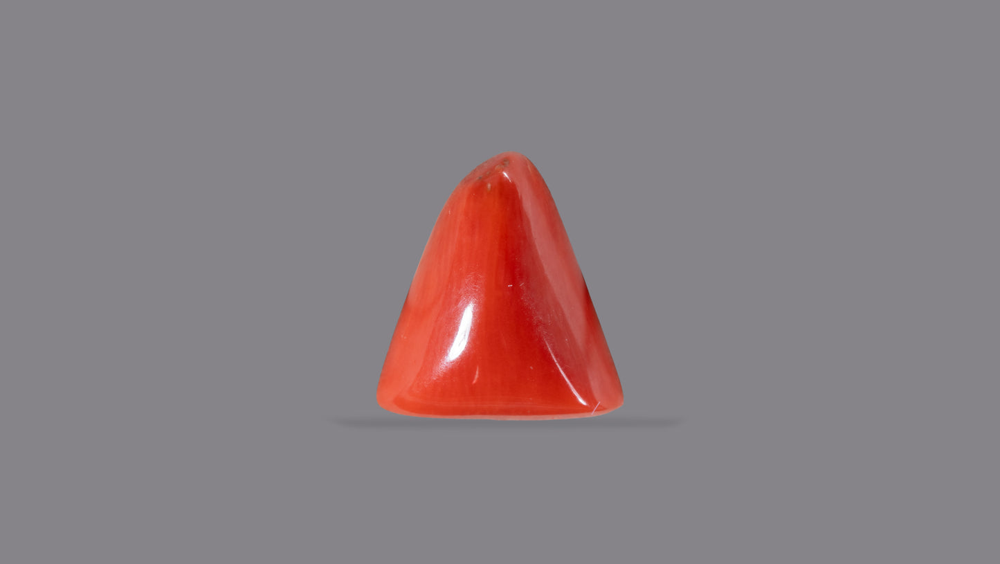 Natural Italian Red Coral (Moonga) 5.95 Carats