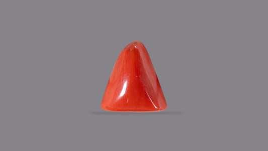 Natural Italian Red Coral (Moonga) 5.95 Carats