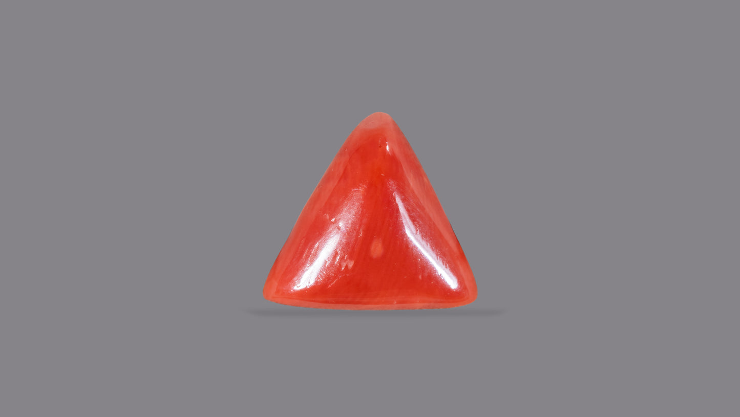 Natural Italian Red Coral (Moonga) 5.09 Carats