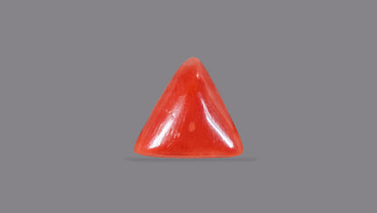 Natural Italian Red Coral (Moonga) 5.09 Carats