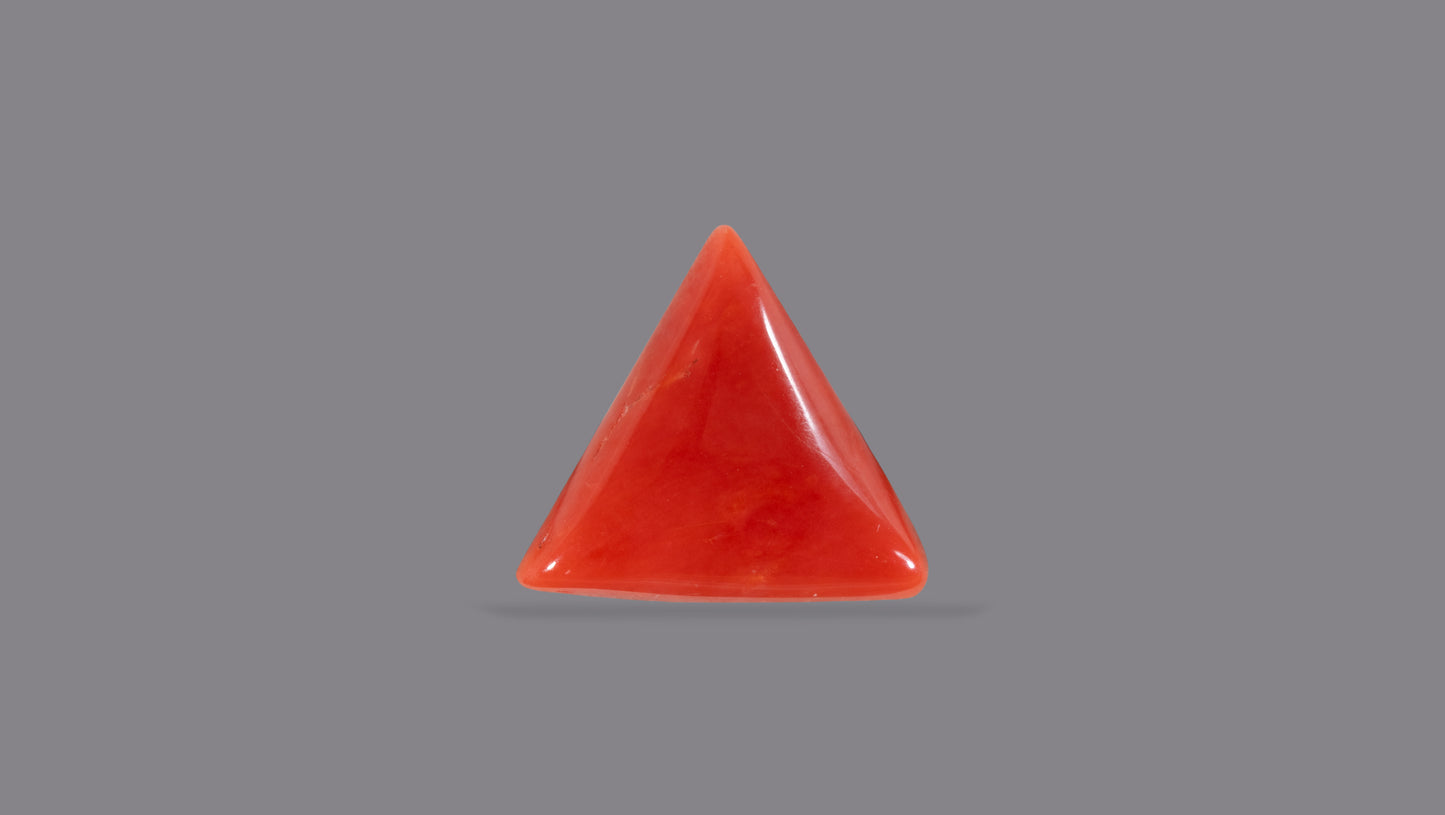 Natural Italian Red Coral (Moonga) 5.99 Carats