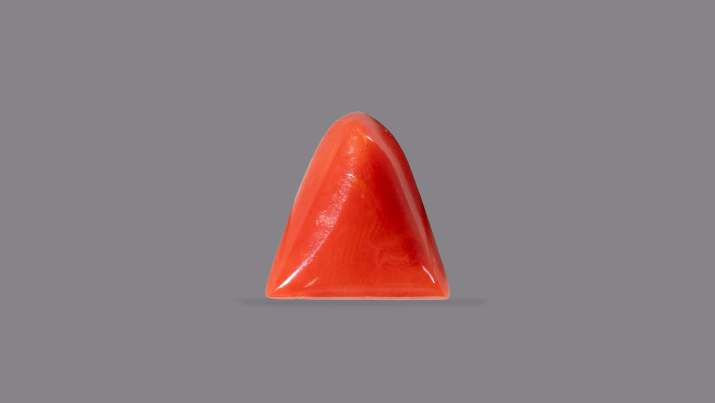 Natural Italian Red Coral (Moonga) 5.53 Carats