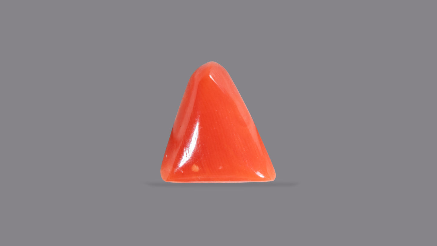 Natural Italian Red Coral (Moonga) 6.06 Carats