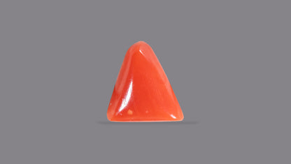 Natural Italian Red Coral (Moonga) 6.06 Carats