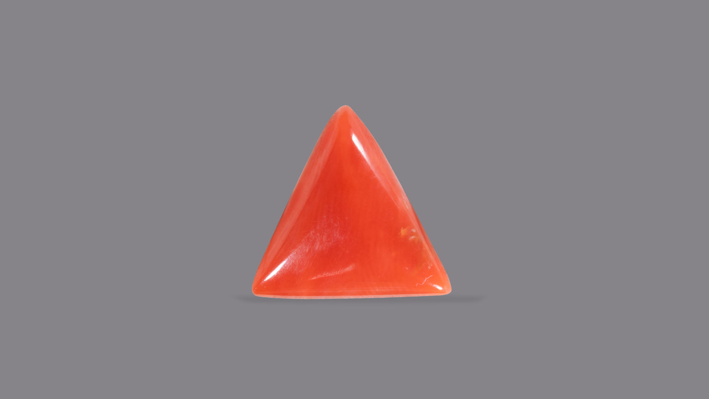 Natural Italian Red Coral (Moonga) 4.95 Carats