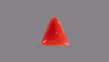 Natural Italian Red Coral (Moonga) 5.70 Carats