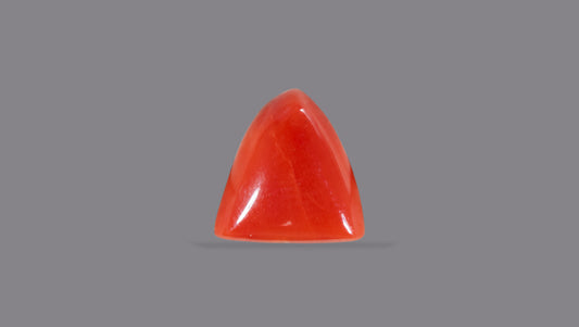 Natural Italian Red Coral (Moonga) 6.13 Carats