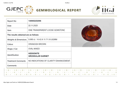 Natural Sri-Lankan Hessonite (Gomed) 9.99 Carats