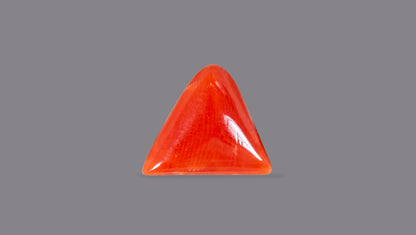 Natural Italian Red Coral (Moonga) 5.06 Carats
