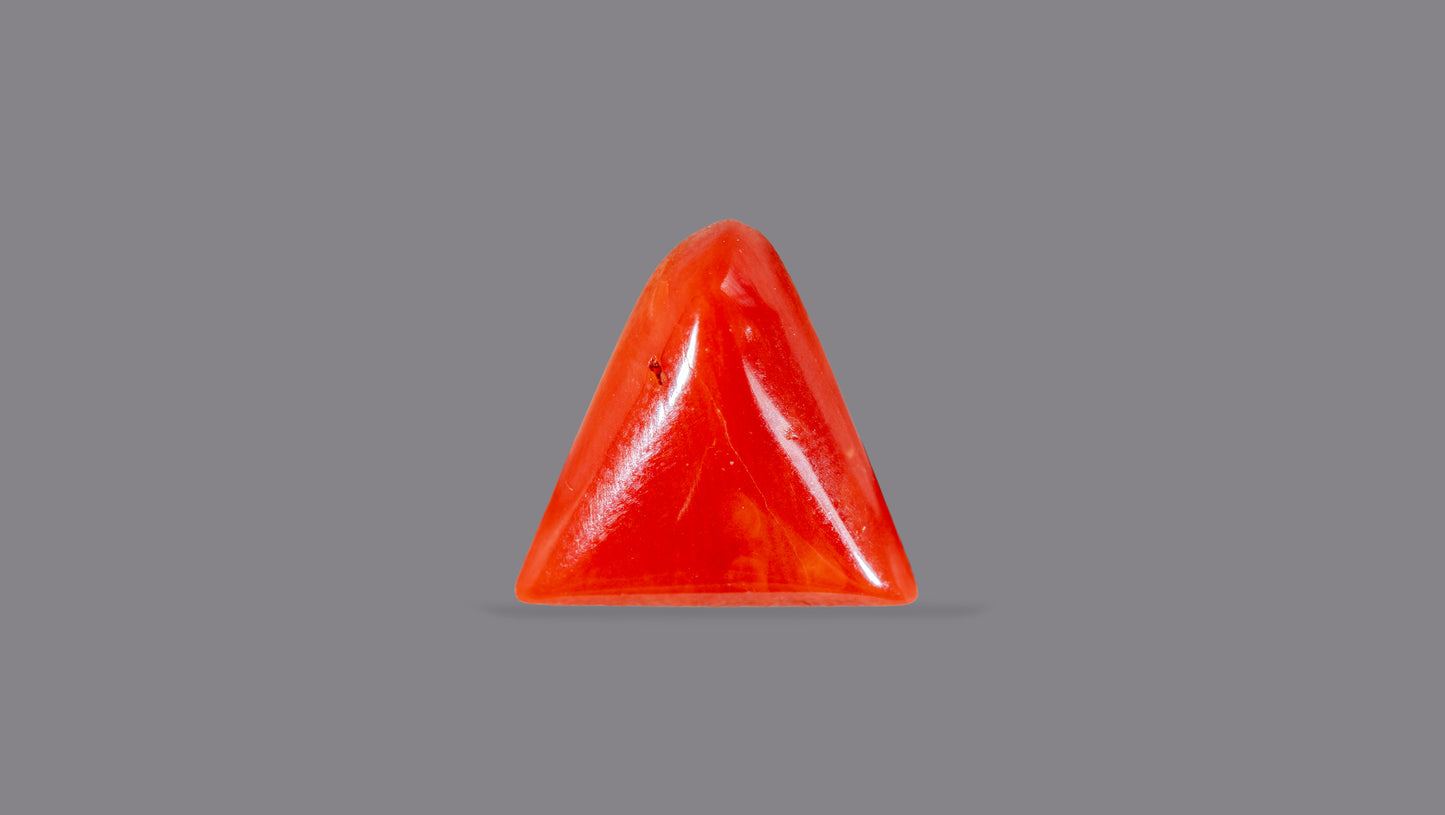 Natural Italian Red Coral (Moonga) 5.39 Carats