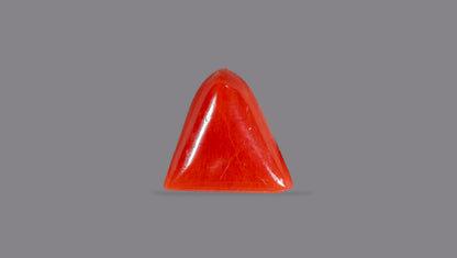 Natural Italian Red Coral (Moonga) 5.20 Carats