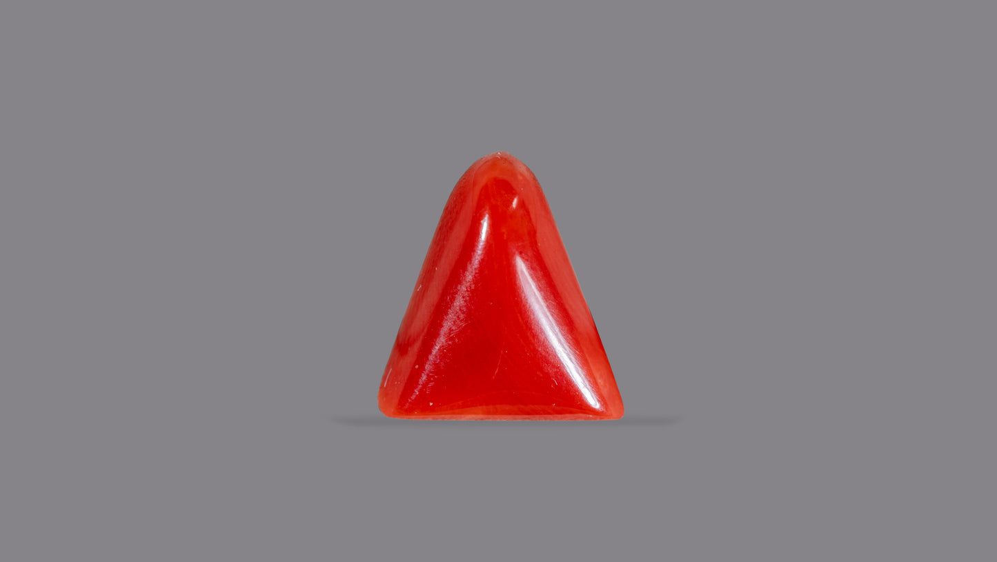 Natural Italian Red Coral (Moonga) 5.42 Carats