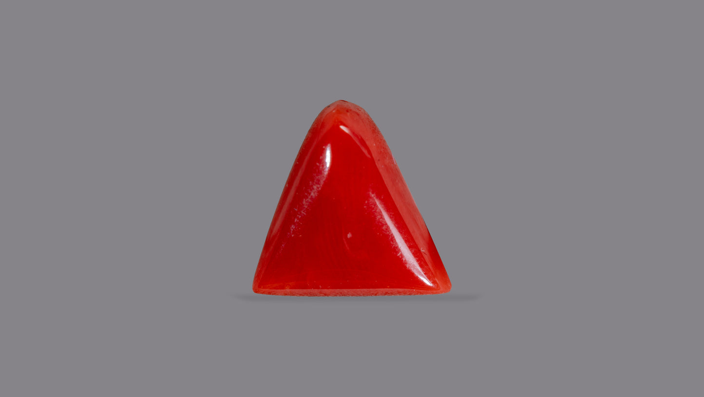 Natural Italian Red Coral (Moonga) 5.10 Carats