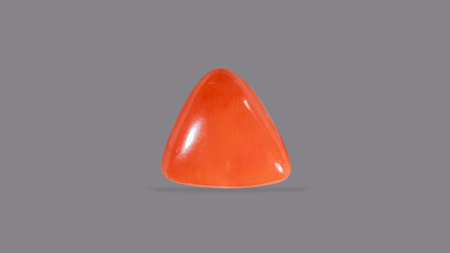 Natural Italian Red Coral (Moonga) 9.02 Carats